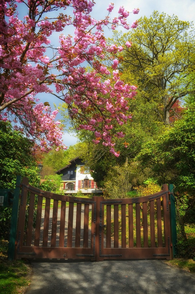how to sell your house this spring